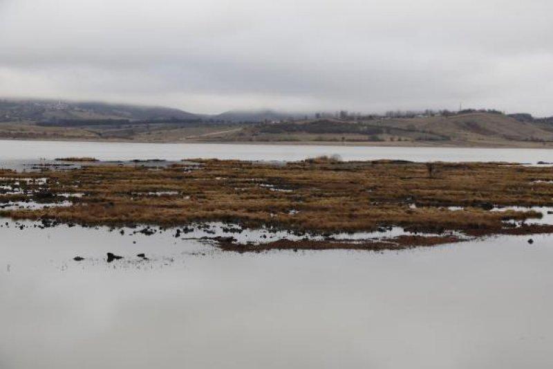 Samsun’da bulunan Ladik Gölü tehlike altında