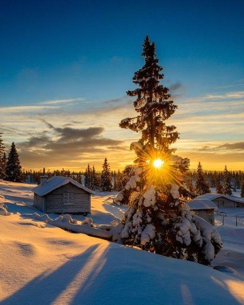 En güzel kış manzaraları 
