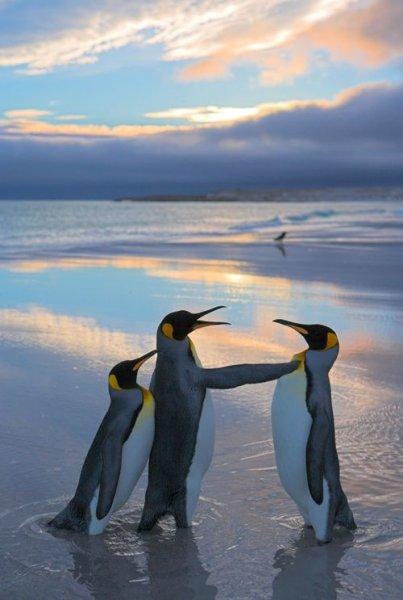 En güzel kış manzaraları 