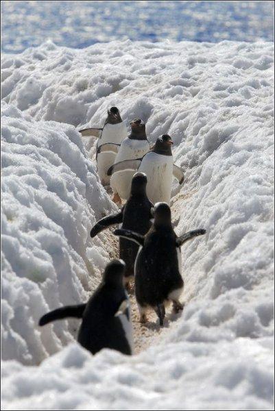 En güzel kış manzaraları 