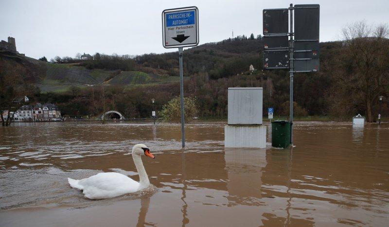 Almanya’da sel tehlikesi