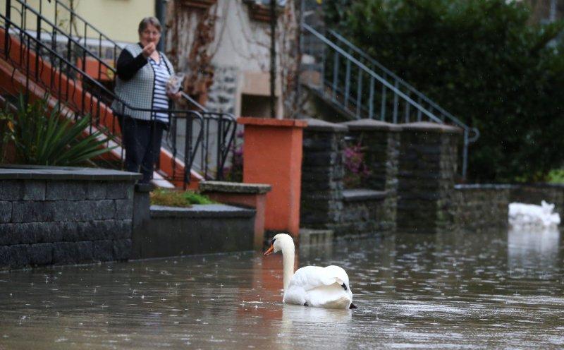 Almanya’da sel tehlikesi