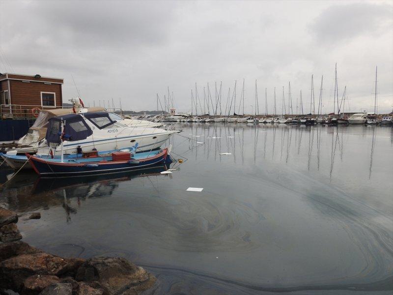 İzmir'de fuel-oil sızıntısı
