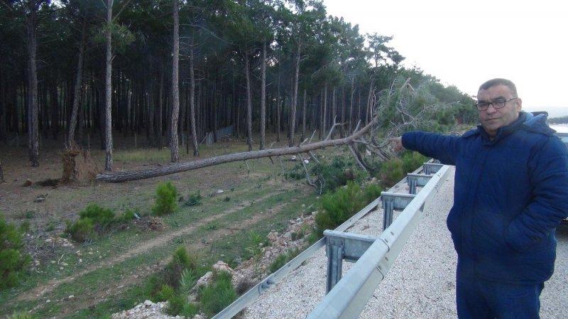 Mersin’de fırtına tırları devirdi ağaçları kökünden söktü