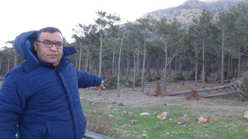 Mersin’de fırtına tırları devirdi ağaçları kökünden söktü