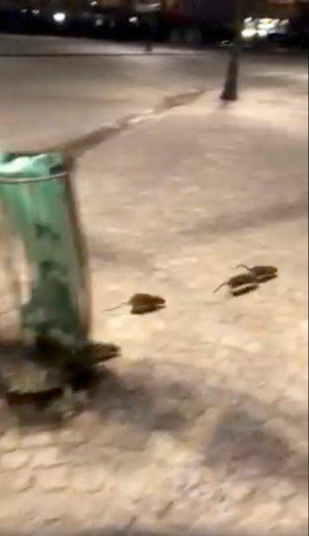 Paris sokakları sular altında kaldı