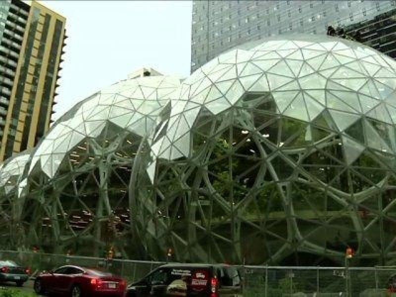 Amerika'da 'yağmur ormanları' temalı ofis