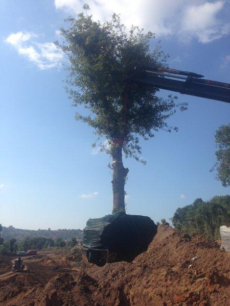 Dolmabahçe-Levazım arası 5 dakikaya inecek