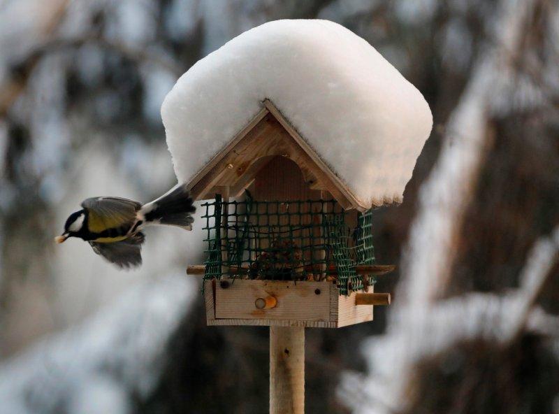 Kar yağışı Eyfel Kulesi'nin kapatılmasına neden oldu