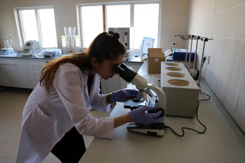 Kızıltepe Atık Su Arıtma Tesisi hizmete girdi