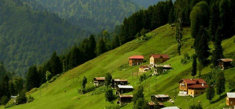 Turizm merkezi Uzungöl temizlendi 