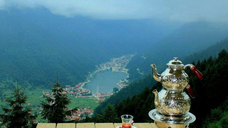 Turizm merkezi Uzungöl temizlendi 