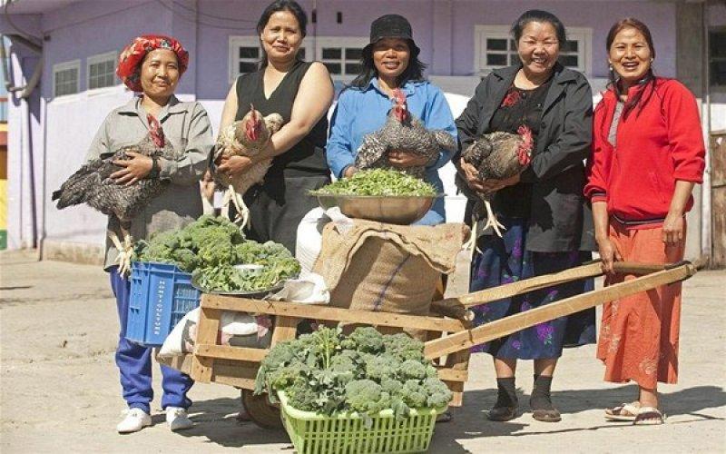 Hintli Ziona Chana'nın 39 eşi 94 çocuğu var  - Resim 16