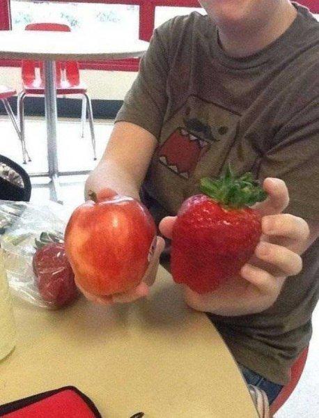 Dünyanın en büyük meyve ve sebzeleri