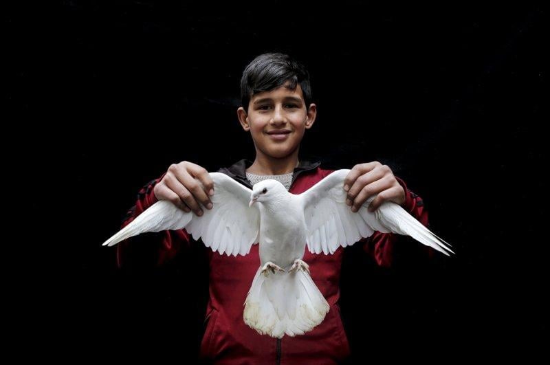 Şanlıurfa'da kuş severler kamera karşısında