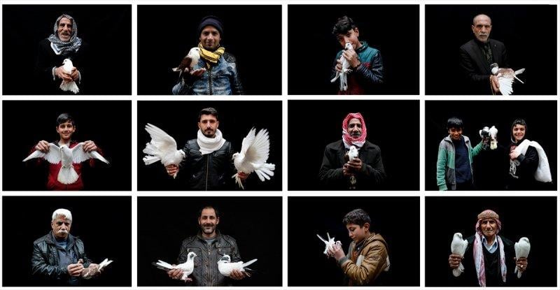 Şanlıurfa'da kuş severler kamera karşısında