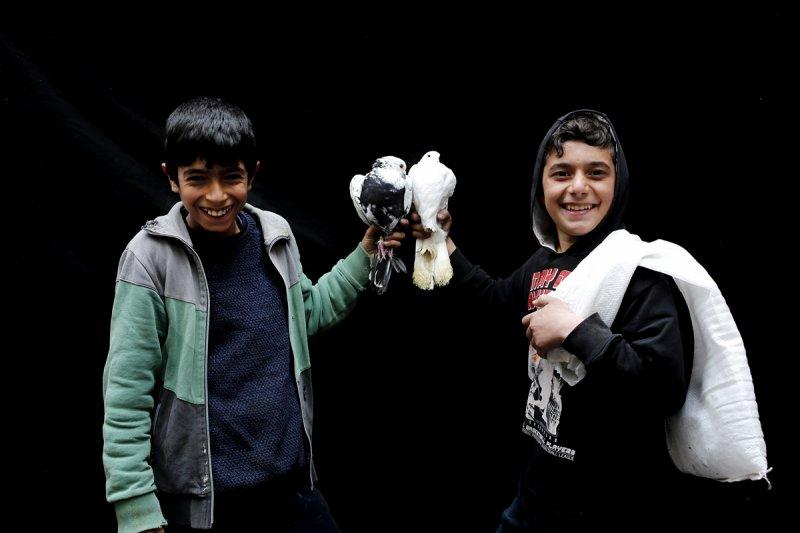 Şanlıurfa'da kuş severler kamera karşısında