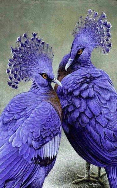 Doğanın en güzel renklerine sahip kuşlar