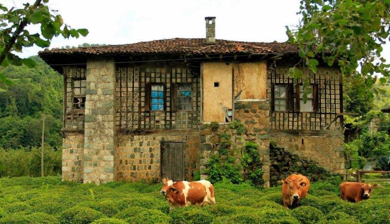 Geleneksel Karadeniz evleri