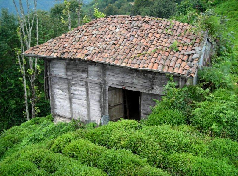 Geleneksel Karadeniz evleri