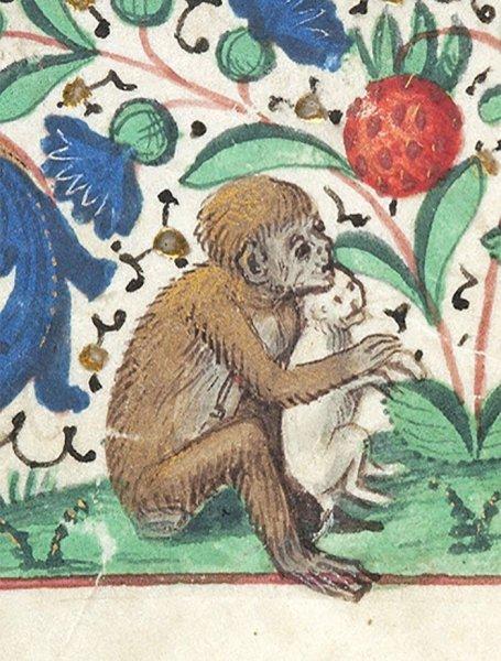 Orta Çağ'dan günümüze kadar gelen korkutucu kedi resimleri