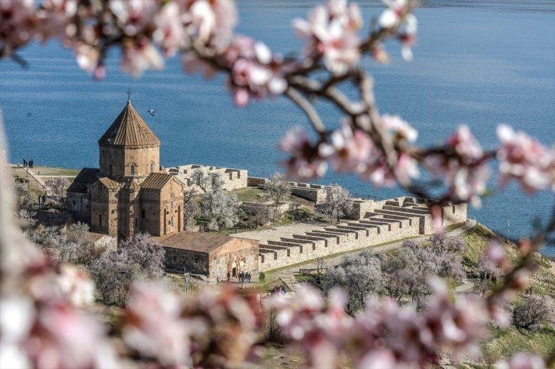 Akdamar Adası'nın tatlı sakinleri