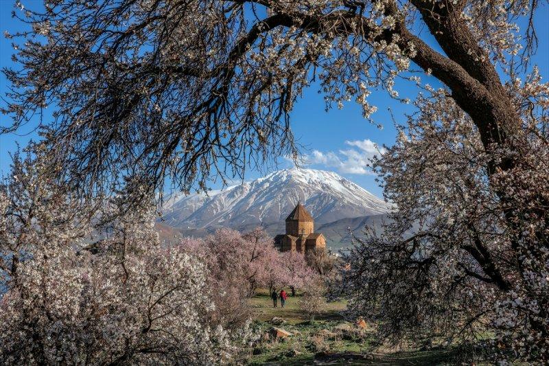 Akdamar Adası'nın tatlı sakinleri