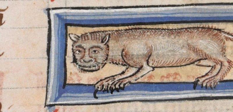 Orta Çağ'dan günümüze kadar gelen korkutucu kedi resimleri