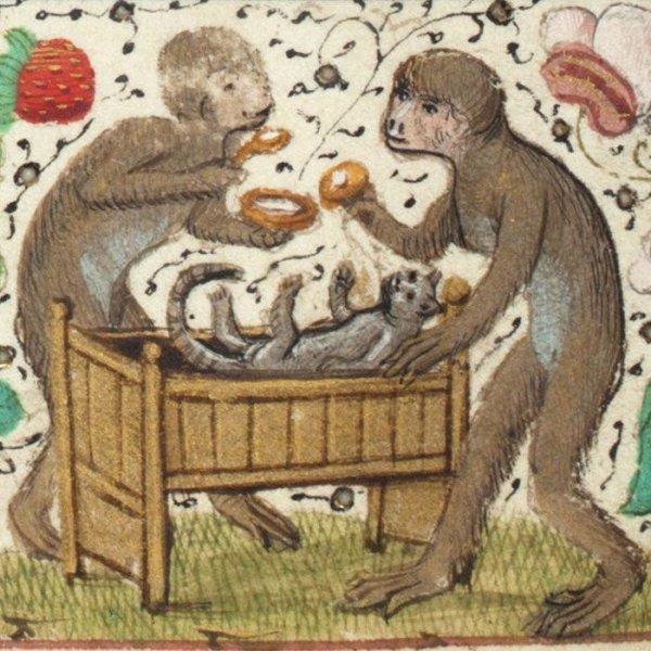 Orta Çağ'dan günümüze kadar gelen korkutucu kedi resimleri