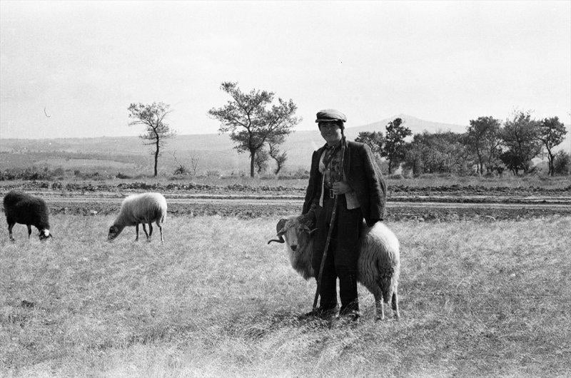 Edirne'nin tarihine ışık tutan fotoğraflar