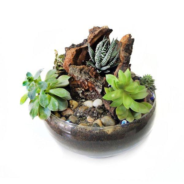 Dekorasyonda sukulent şıklığı