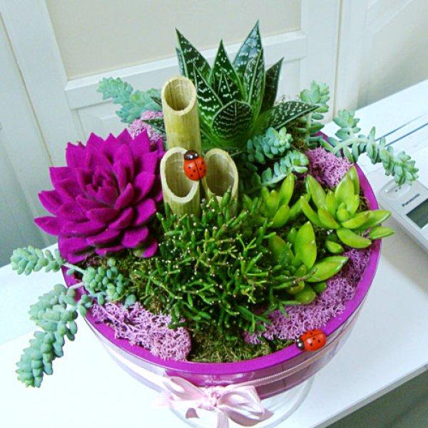 Dekorasyonda sukulent şıklığı