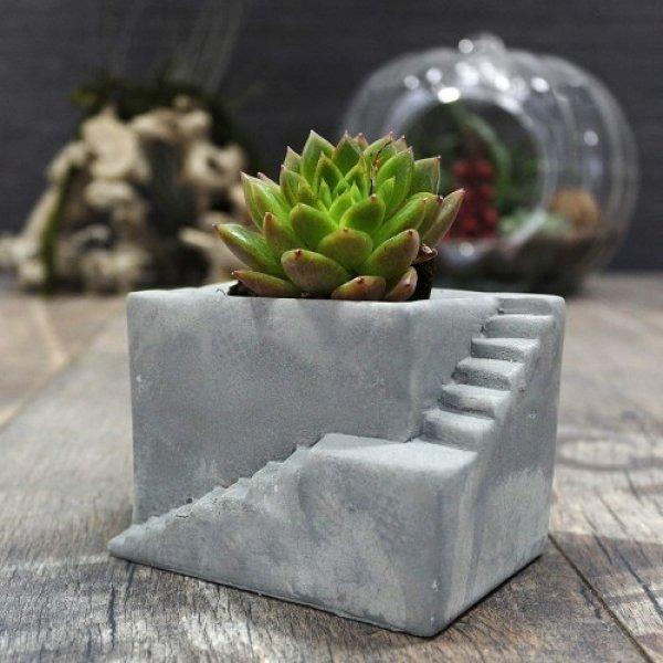 Dekorasyonda sukulent şıklığı