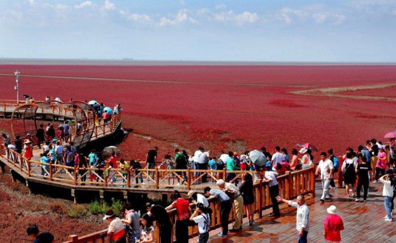 Çin’de görmeniz gereken en güzel yer: Kırmızı sahil