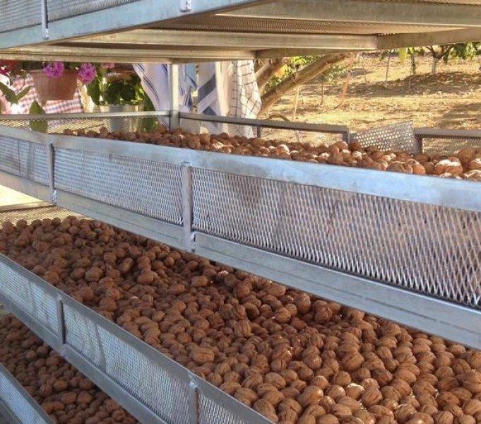 Burak Hakkı'nın çiftlik hayatı