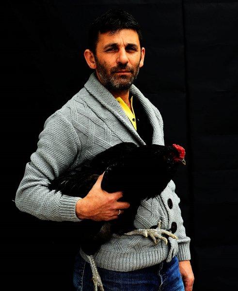 Birbirinden ilginç tavuk türleri