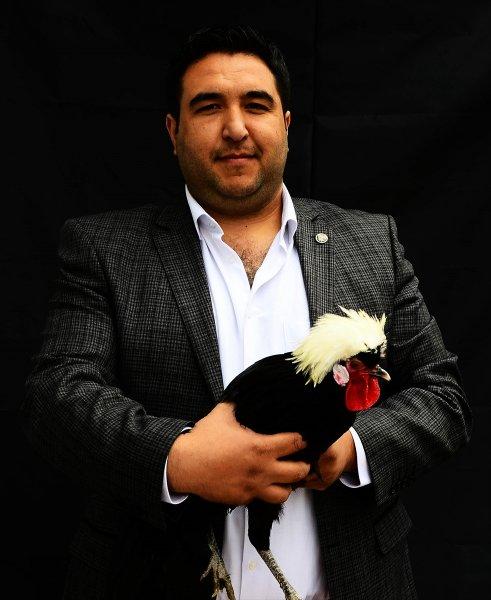 Birbirinden ilginç tavuk türleri