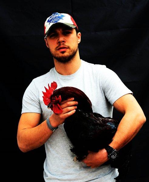 Birbirinden ilginç tavuk türleri