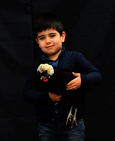 Birbirinden ilginç tavuk türleri