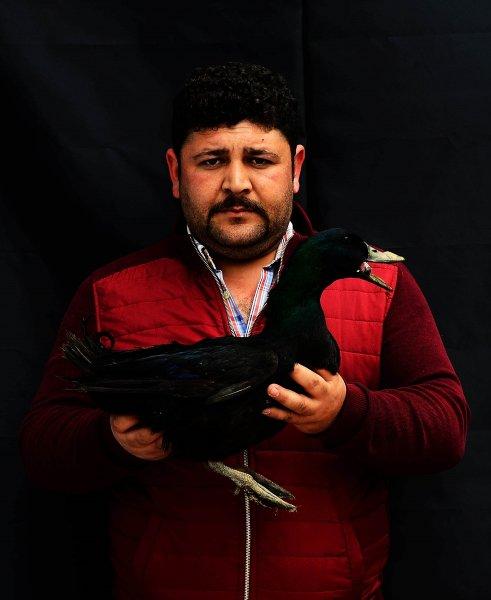 Birbirinden ilginç tavuk türleri