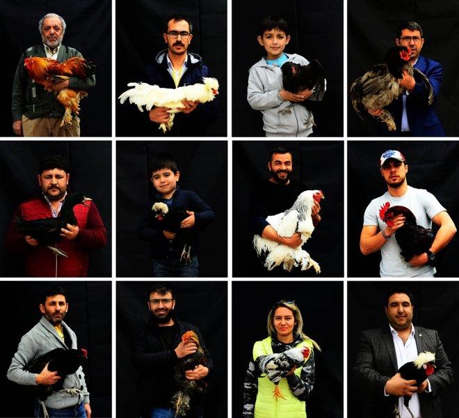 Birbirinden ilginç tavuk türleri