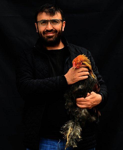 Birbirinden ilginç tavuk türleri