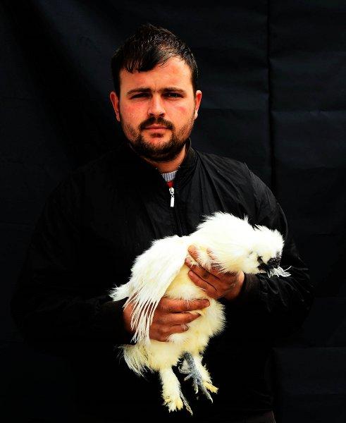 Birbirinden ilginç tavuk türleri