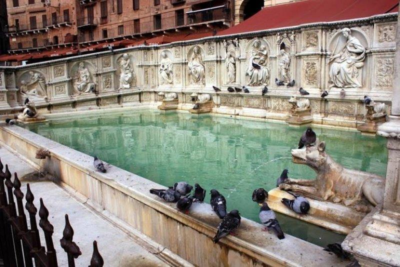 Orta Çağ mimarisini yaşatan şehir: Siena