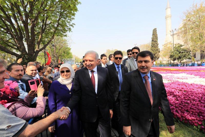 Dünyanın en büyük canlı lale halısı Sultanahmet'te