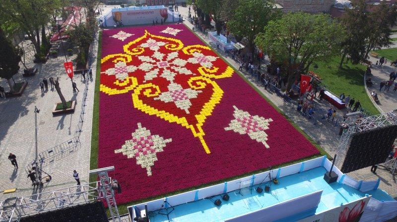 Dünyanın en büyük canlı lale halısı Sultanahmet'te