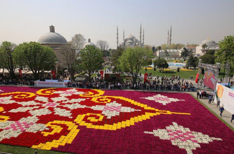 Dünyanın en büyük canlı lale halısı Sultanahmet'te