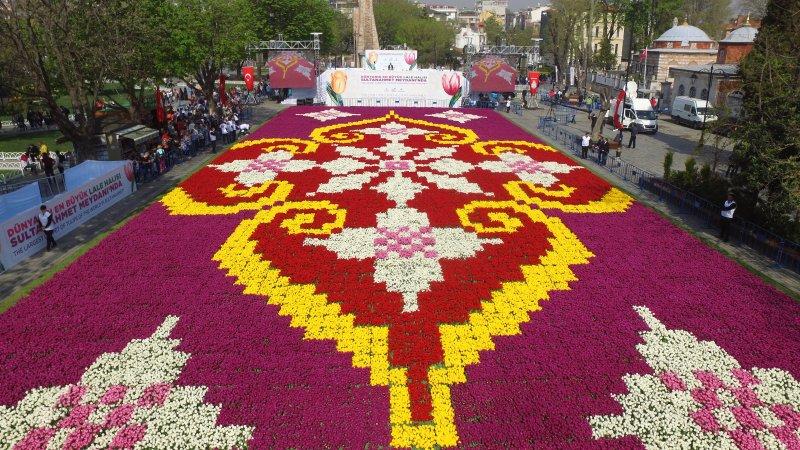Dünyanın en büyük canlı lale halısı Sultanahmet'te