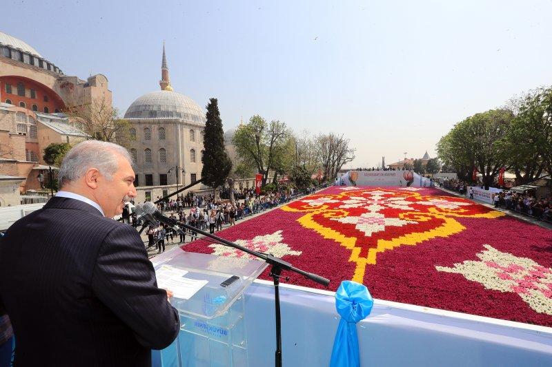 Dünyanın en büyük canlı lale halısı Sultanahmet'te