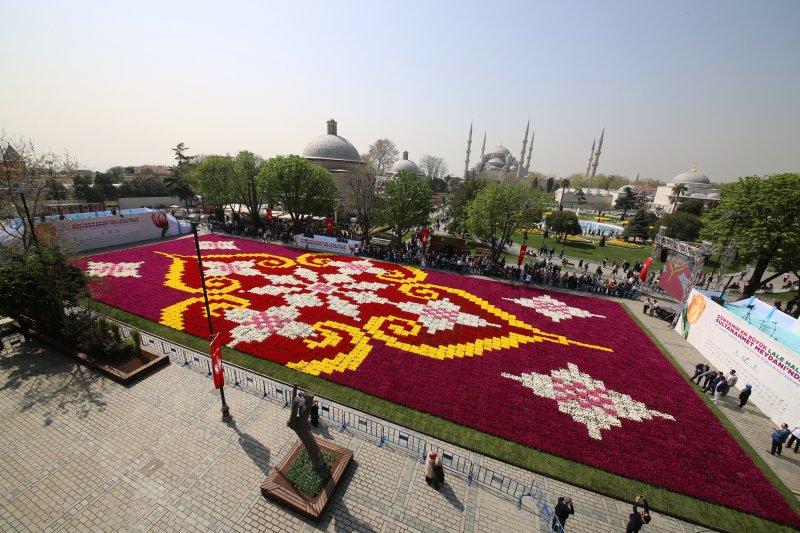 Dünyanın en büyük canlı lale halısı Sultanahmet'te